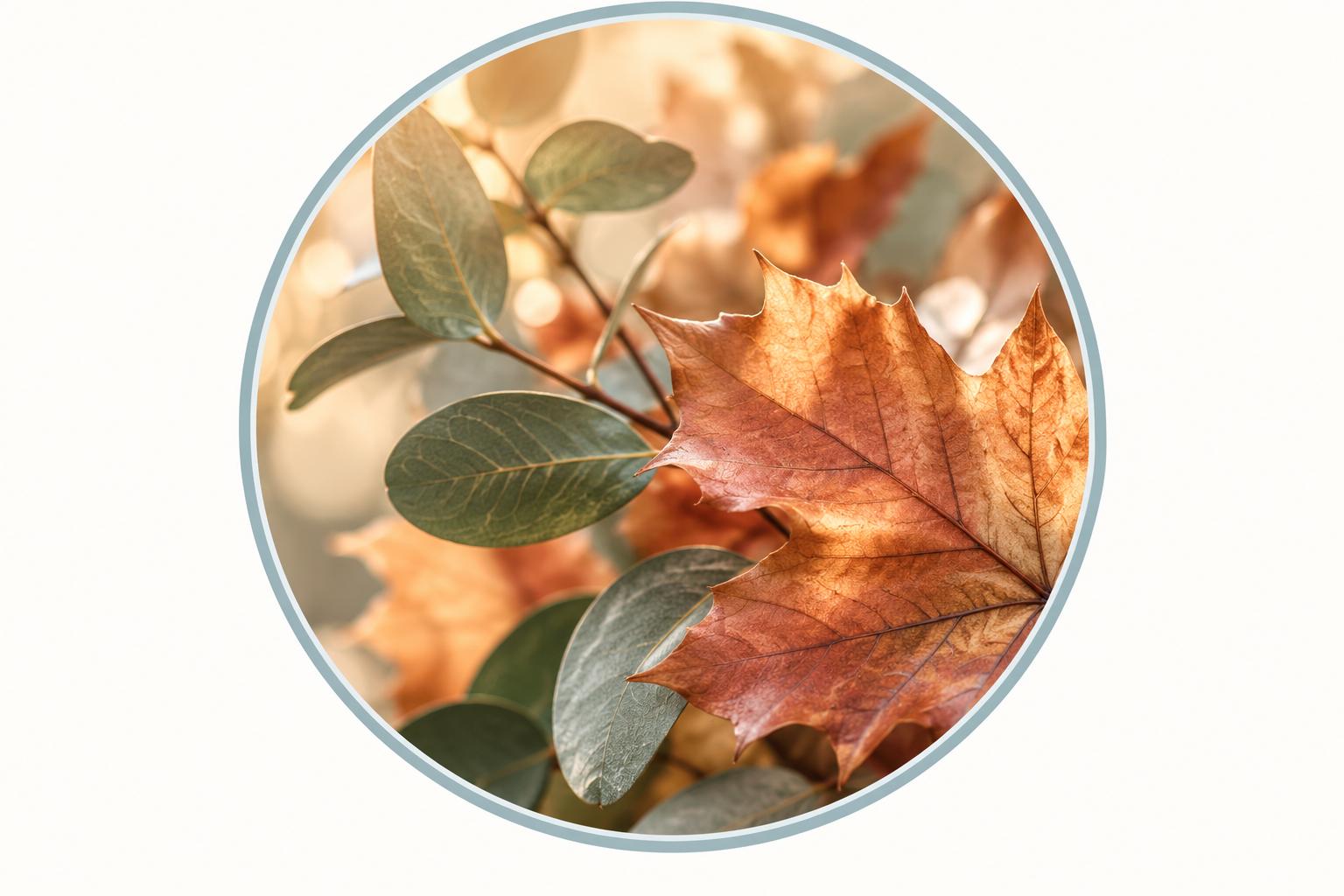 unnamed image